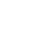 Lariat_Security
